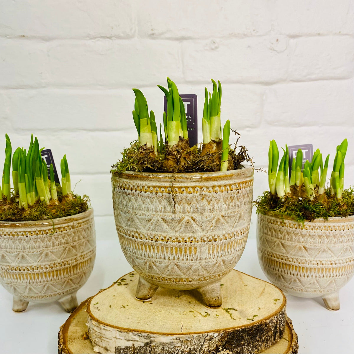 Easter