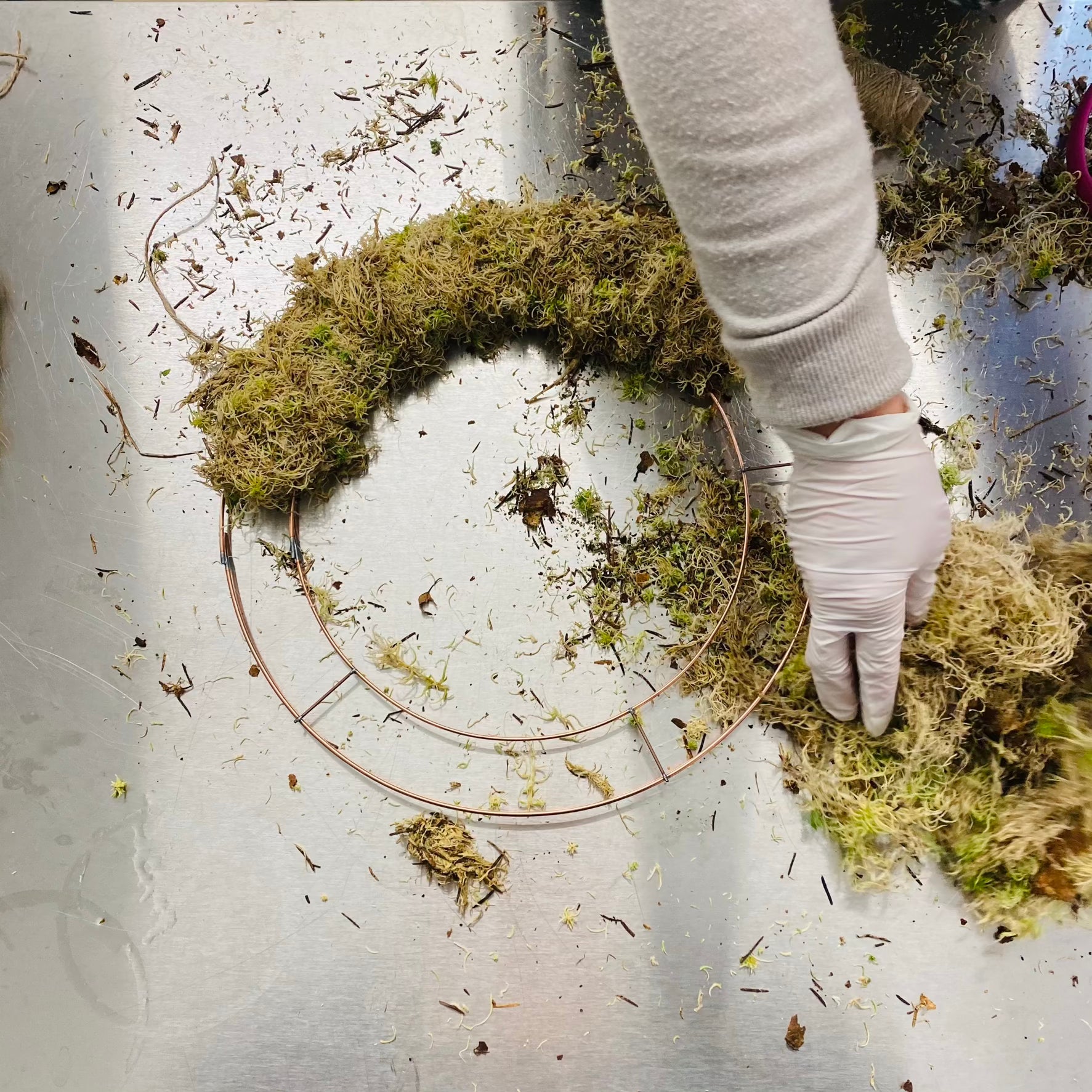 Book our Workshops -