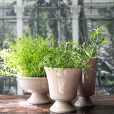 Meryl |Ceramic Footed Bowl