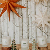 Christmas Limited Edition Candle - Little Christmas Tree