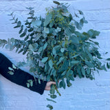 Eucalyptus Mix | Foliage Bunch | Christmas Foliage