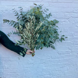 Festive Foliage | Eucalyptus & Olive | Fresh Foliage