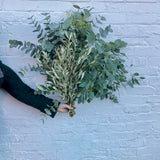 Festive Foliage | Eucalyptus & Olive | Fresh Foliage