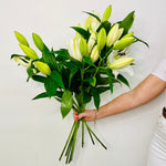 Beautiful White Oriental Lilies - Bunch - Chobham Flowers #5 Stems