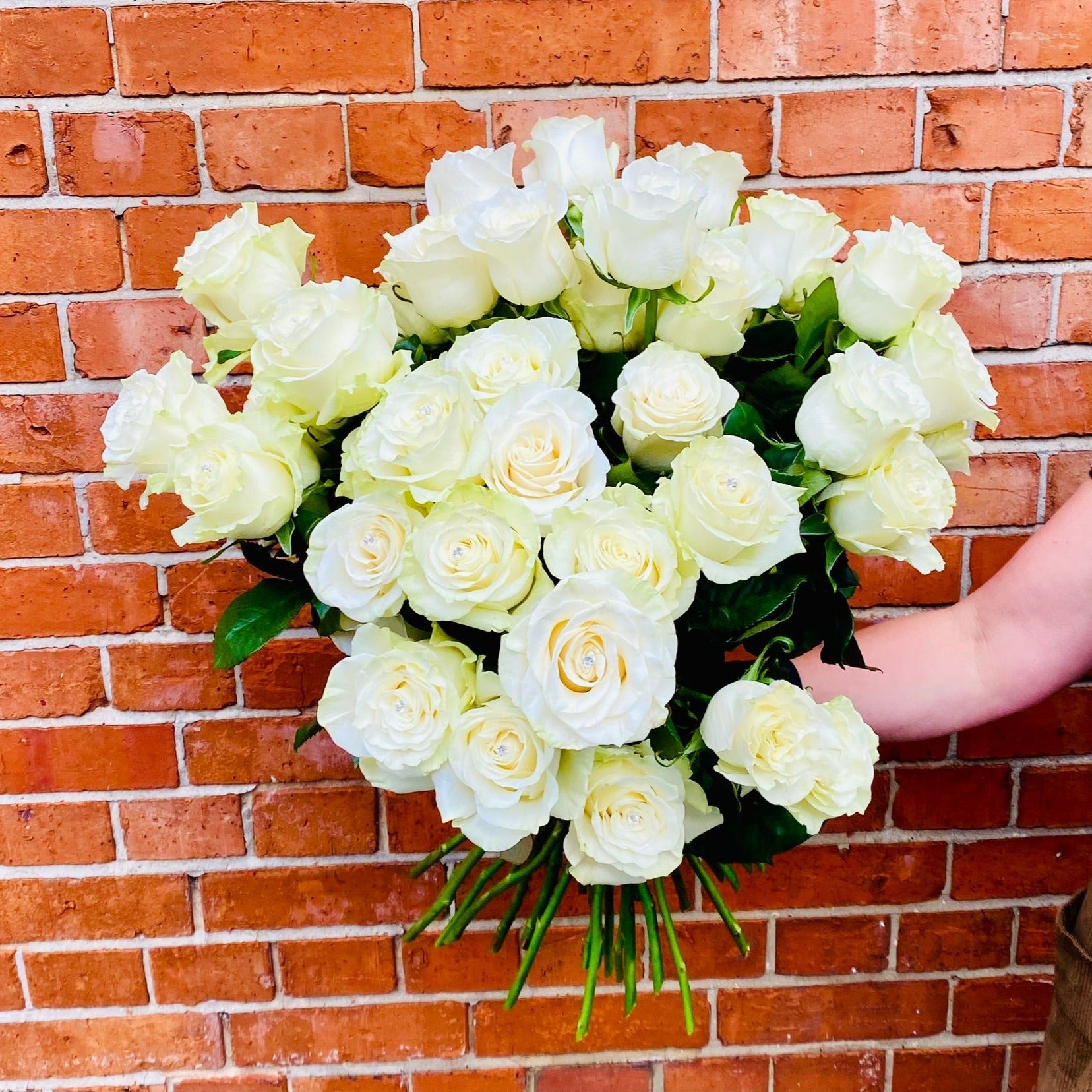 White Rose Handtied Bouquet - Chobham Flowers #Medium -10 Stems